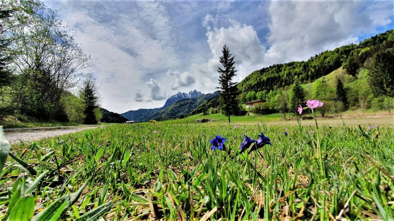 Haus Christl Am Horn Daire Sankt Johann in Tirol Dış mekan fotoğraf